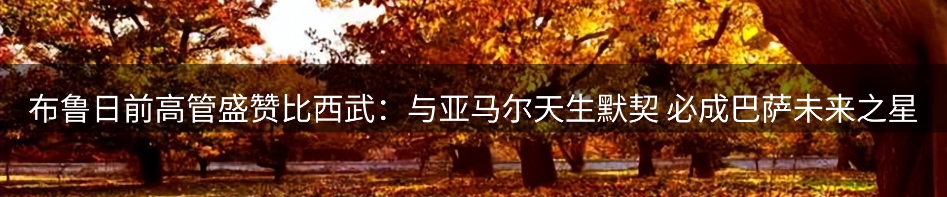 新闻中心